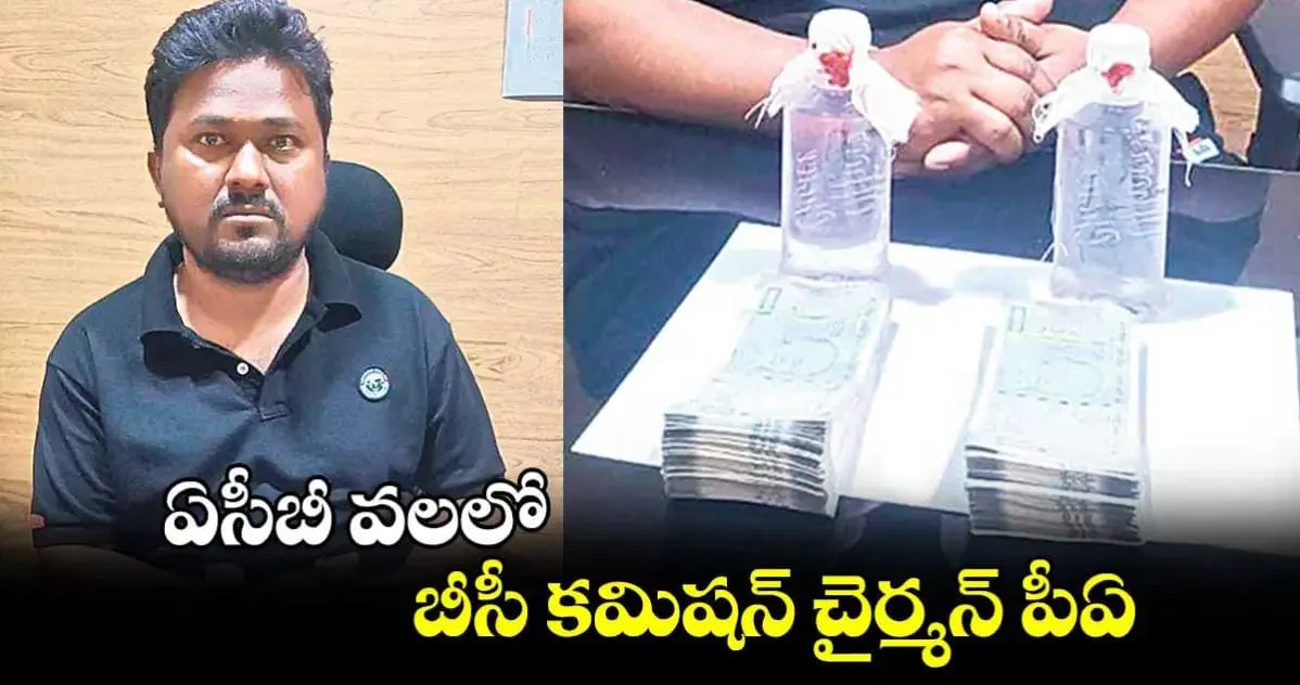 Telangana, BC Commission: ఏసీబీ వలలో బీసీ కమిషన్ చైర్మన్ పీఏ శ్రీనివాస్