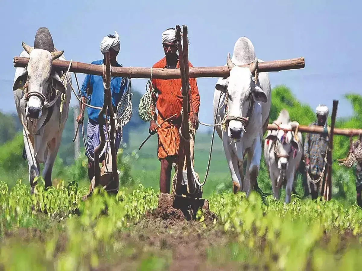 Indian Farmers: రైతన్న ఎందుకీ అరువు.. ఎక్కడికి నీ పరుగు...