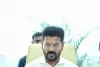 CM Revanth Reddy: సీఎం రేవంత్ రెడ్డి అధికారులకు కీలక ఆదేశాలు..