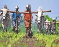 Indian Farmers: రైతన్న ఎందుకీ అరువు.. ఎక్కడికి నీ పరుగు...