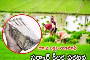 Telangana Crop Loan Waiver: రైతులకు గుడ్ న్యూస్..రూ. 2 లక్షల రుణమాఫీ ఒకేసారి:  తెలంగాణ ప్రభుత్వం కీలక నిర్ణయం