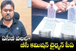 Telangana, BC Commission: ఏసీబీ వలలో బీసీ కమిషన్ చైర్మన్ పీఏ శ్రీనివాస్