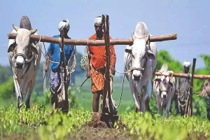 Indian Farmers: రైతన్న ఎందుకీ అరువు.. ఎక్కడికి నీ పరుగు...