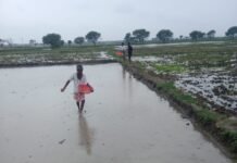నాసిరకం విత్తనాల భయం… – అధిక ధరల భారంతో రైతుల ఆందోళన – – విత్తన దుకాణాలపై అధికారుల కఠిన చర్యలే పరిష్కారం?