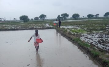 నాసిరకం విత్తనాల భయం… – అధిక ధరల భారంతో రైతుల ఆందోళన – – విత్తన దుకాణాలపై అధికారుల కఠిన చర్యలే పరిష్కారం?